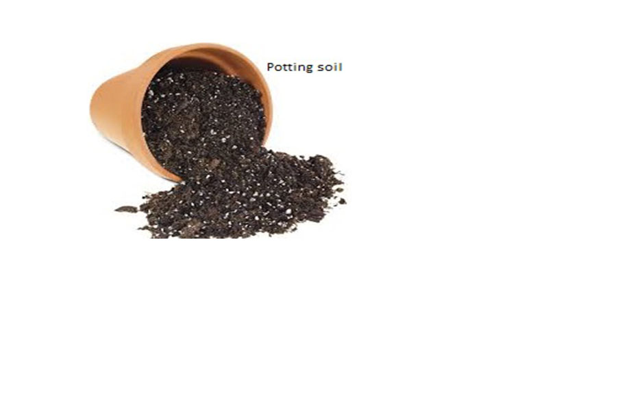 Potting soil