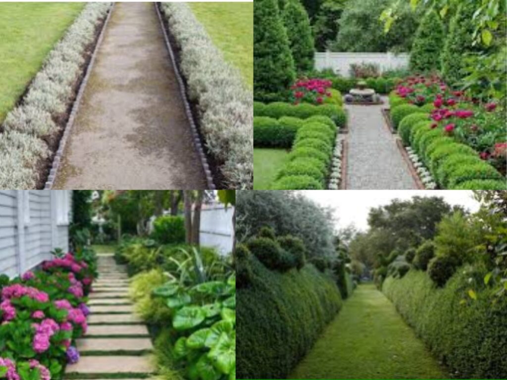 Beautiful Pathways and Edges in partial shade perennial gardens