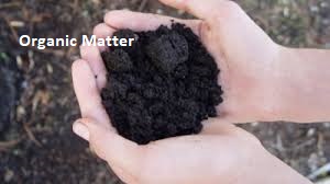 Organic Matter Used in the garden of partial shade perennials